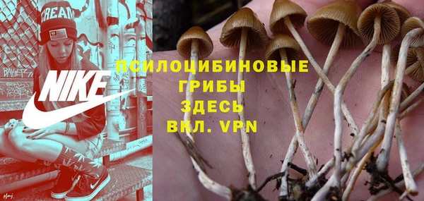 прущий лед Балахна