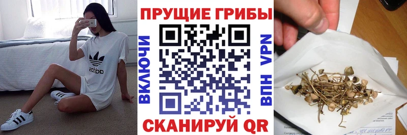 Псилоцибиновые грибы прущие грибы  Городище 